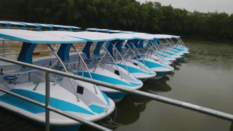 4人風(fēng)神電動(dòng)船 電瓶船