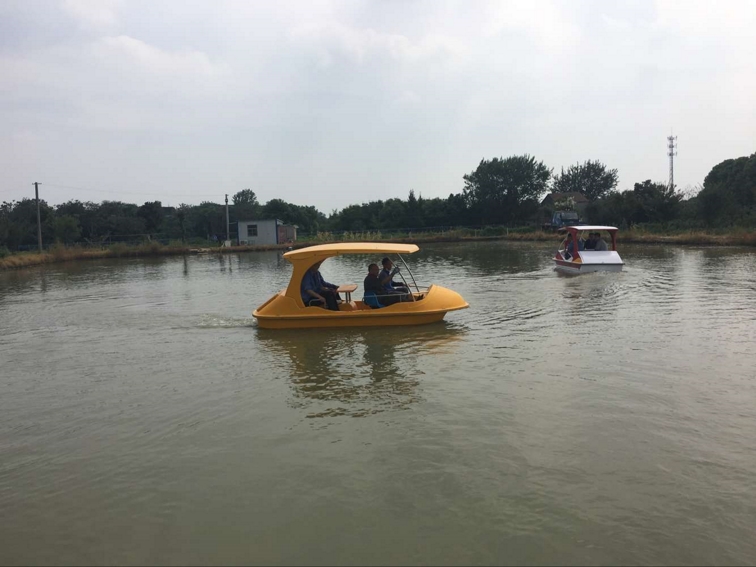 4人轎車(chē)電動(dòng)船